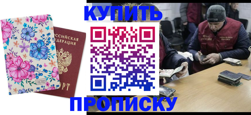 прописка для школы в Тольятти